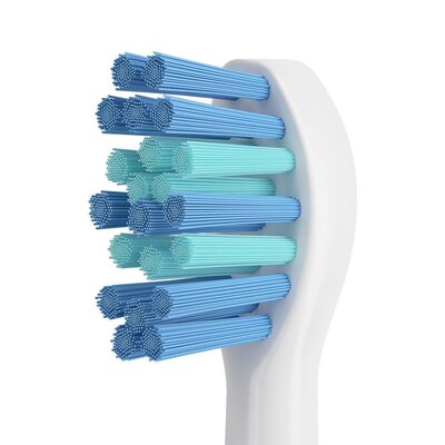Lebond I3 MAX Blue